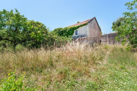 Villa i Leiria, Leiria, Leiria - € 136.000 | Ref: CV11012-20 - foto 10