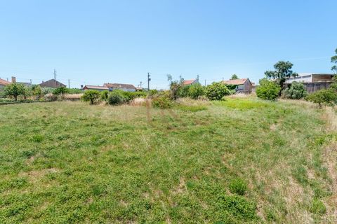 Villa i Leiria, Leiria, Leiria - € 136.000 | Ref: CV11012-20 - foto 11