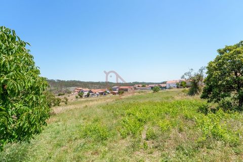 Villa i Leiria, Leiria, Leiria - € 136.000 | Ref: CV11012-20 - foto 12