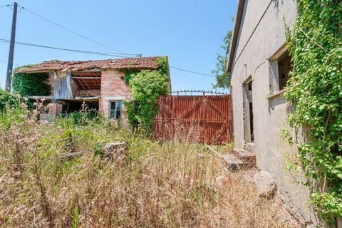 Villa i Leiria, Leiria, Leiria - € 136.000 | Ref: CV11012-20 - foto 14