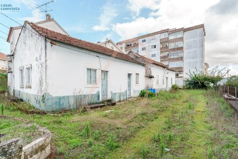 Villa i Fatima, Santarem, Fatima - € 780.000 | Ref: CV11001-252 - foto 15