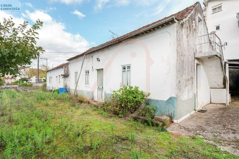 Villa i Fatima, Santarem, Fatima - € 780.000 | Ref: CV11001-252 - foto 16