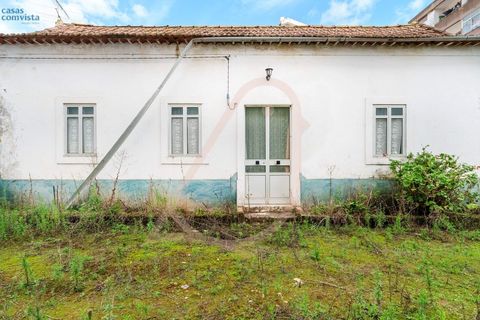Villa i Fatima, Santarem, Fatima - € 780.000 | Ref: CV11001-252 - foto 20