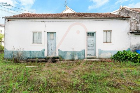 Villa i Fatima, Santarem, Fatima - € 780.000 | Ref: CV11001-252 - foto 21