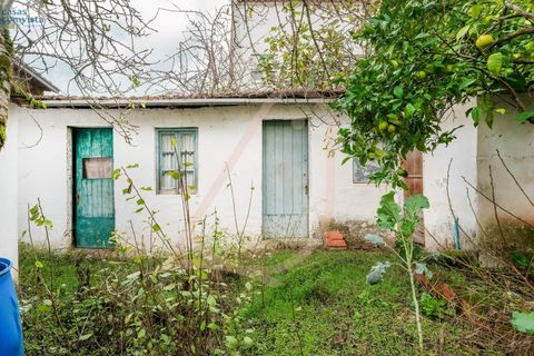 Villa i Fatima, Santarem, Fatima - € 780.000 | Ref: CV11001-252 - foto 23
