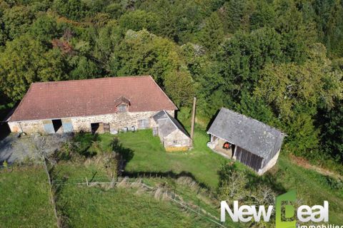 Farm hus i Arnac-Pompadour, Correze, Arnac-Pompadour - € 325.000 | Ref: PM-5315 - foto 7
