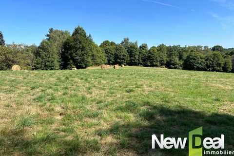 Farm hus i Arnac-Pompadour, Correze, Arnac-Pompadour - € 325.000 | Ref: PM-5315 - foto 22