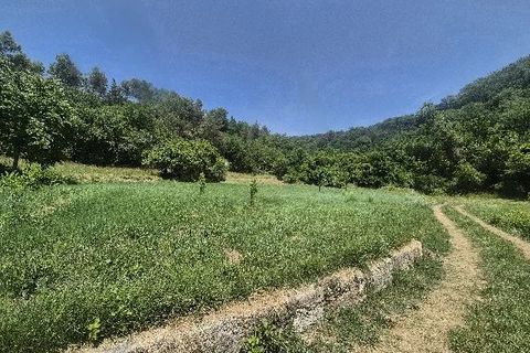 Villa i Contes, Alpes-Maritimes, Contes - € 599.000 | Ref: 86848044 - foto 5