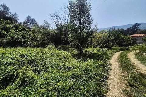 Villa i Contes, Alpes-Maritimes, Contes - € 599.000 | Ref: 86848044 - foto 13