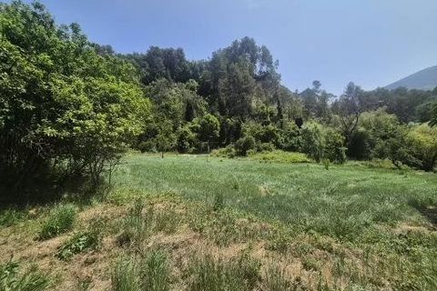 Villa i Contes, Alpes-Maritimes, Contes - € 599.000 | Ref: 86848044 - foto 18