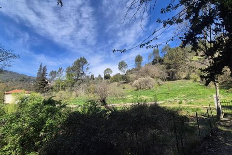 Villa i Contes, Alpes-Maritimes, Contes - € 599.000 | Ref: 86848044 - foto 29
