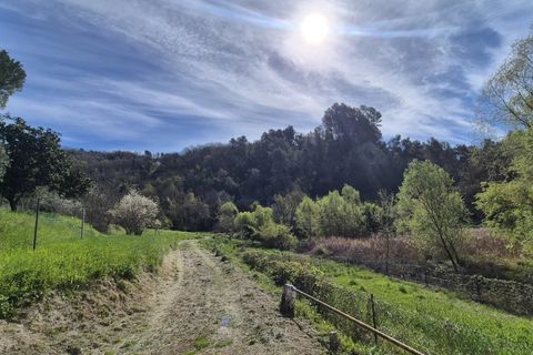 Villa i Contes, Alpes-Maritimes, Contes - € 599.000 | Ref: 86848044 - foto 30