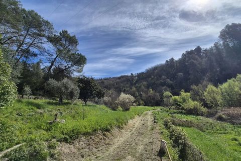 Villa i Contes, Alpes-Maritimes, Contes - € 599.000 | Ref: 86848044 - foto 31