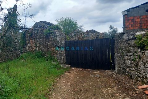 Farm i Ansiao, Leiria, Ansiao - € 85.000 | Ref: ANG1560 - foto 3