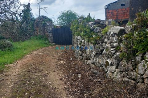 Farm i Ansiao, Leiria, Ansiao - € 85.000 | Ref: ANG1560 - foto 4
