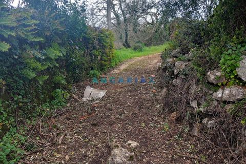 Farm i Ansiao, Leiria, Ansiao - € 85.000 | Ref: ANG1560 - foto 5