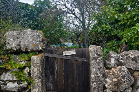 Farm i Ansiao, Leiria, Ansiao - € 85.000 | Ref: ANG1560 - foto 6