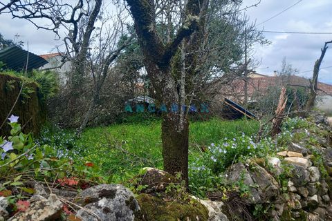 Farm i Ansiao, Leiria, Ansiao - € 85.000 | Ref: ANG1560 - foto 7