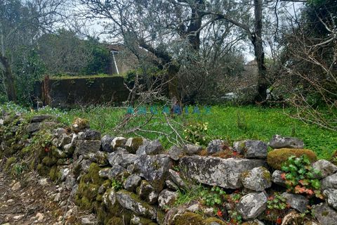 Farm i Ansiao, Leiria, Ansiao - € 85.000 | Ref: ANG1560 - foto 8