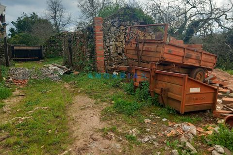 Farm i Ansiao, Leiria, Ansiao - € 85.000 | Ref: ANG1560 - foto 10