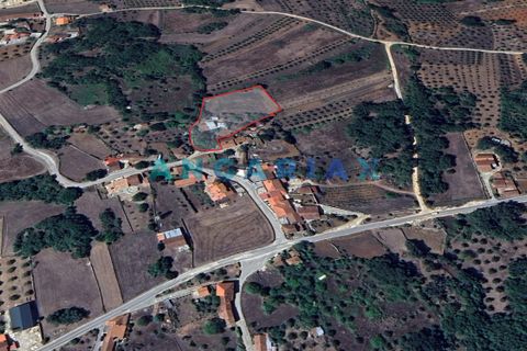 Farm i Ansiao, Leiria, Ansiao - € 85.000 | Ref: ANG1560 - foto 11