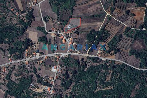 Farm i Ansiao, Leiria, Ansiao - € 85.000 | Ref: ANG1560 - foto 12