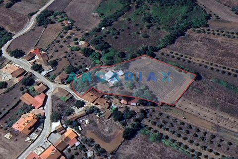 Farm i Ansiao, Leiria, Ansiao - € 85.000 | Ref: ANG1560 - foto 13