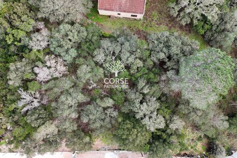 Helårsgrund i Sotta, Corse-du-Sud, Sotta - € 240.000 | Ref: T2985 - foto 2