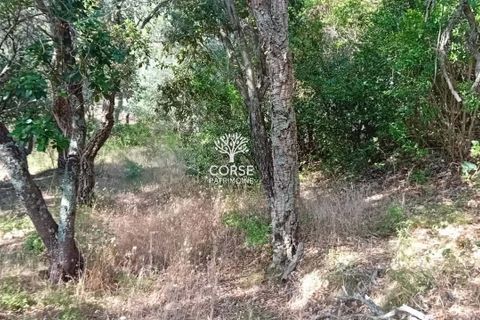Helårsgrund i Sotta, Corse-du-Sud, Sotta - € 240.000 | Ref: T2985 - foto 3
