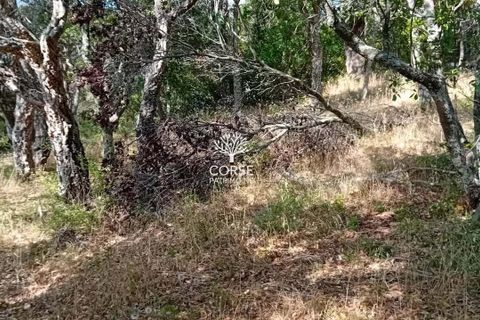 Helårsgrund i Sotta, Corse-du-Sud, Sotta - € 240.000 | Ref: T2985 - foto 4
