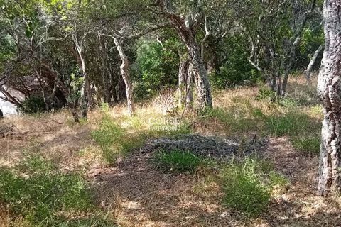 Helårsgrund i Sotta, Corse-du-Sud, Sotta - € 240.000 | Ref: T2985 - foto 5
