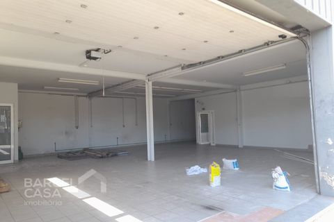 Erhvervsejendom i Barcelos, Braga, Barcelos - € 430.000 | Ref: 75/26 - foto 5