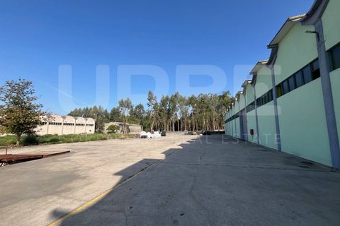 Erhvervsejendom i Serzedo, Porto, Serzedo - € 4.000.000 | Ref: ARM_501 - foto 11