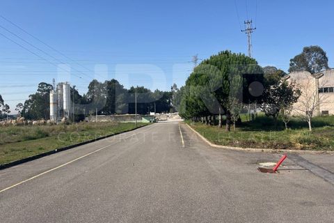 Erhvervsejendom i Serzedo, Porto, Serzedo - € 4.000.000 | Ref: ARM_501 - foto 8