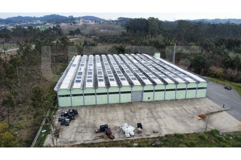 Erhvervsejendom i Serzedo, Porto, Serzedo - € 4.000.000 | Ref: ARM_501 - foto 14