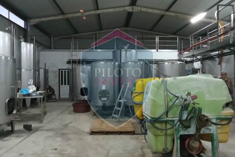 Farm i Penalva do Castelo, Viseu, Penalva do Castelo - € 820.000 | Ref: 2218/V - foto 13