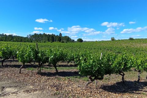 Farm i Penalva do Castelo, Viseu, Penalva do Castelo - € 820.000 | Ref: 2218/V - foto 1