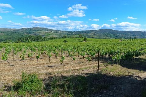Farm i Penalva do Castelo, Viseu, Penalva do Castelo - € 820.000 | Ref: 2218/V - foto 2