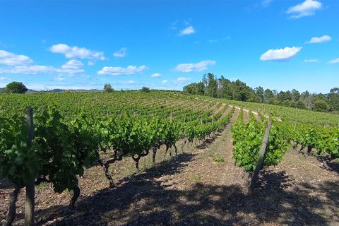 Farm i Penalva do Castelo, Viseu, Penalva do Castelo - € 820.000 | Ref: 2218/V - foto 3