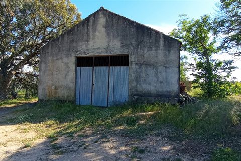 Farm i Penalva do Castelo, Viseu, Penalva do Castelo - € 820.000 | Ref: 2218/V - foto 7