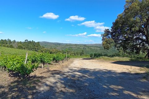 Farm i Penalva do Castelo, Viseu, Penalva do Castelo - € 820.000 | Ref: 2218/V - foto 8