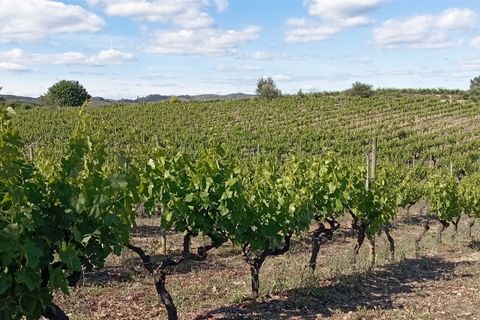 Farm i Penalva do Castelo, Viseu, Penalva do Castelo - € 820.000 | Ref: 2218/V - foto 12