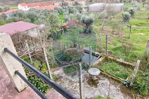 Villa a Aguiar da Beira, Guarda, Aguiar da Beira - € 130.000 | Ref: 2219/V - foto 4