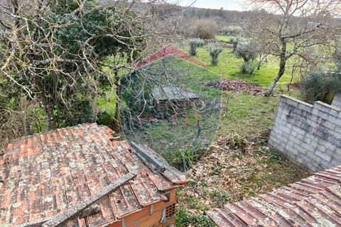 Villa a Aguiar da Beira, Guarda, Aguiar da Beira - € 130.000 | Ref: 2219/V - foto 5