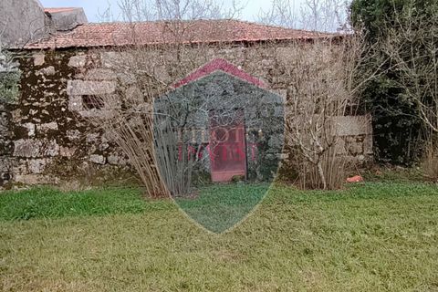 Villa a Aguiar da Beira, Guarda, Aguiar da Beira - € 130.000 | Ref: 2219/V - foto 22