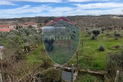 Villa a Aguiar da Beira, Guarda, Aguiar da Beira - € 130.000 | Ref: 2219/V - foto 23