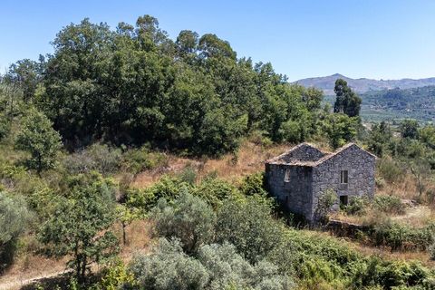 Farm i Melo e Nabais, Guarda, Melo e Nabais - € 150.000 | Ref: SF-SAFTI:008290 - foto 1