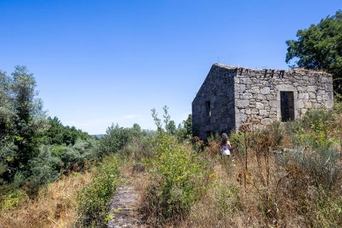 Farm i Melo e Nabais, Guarda, Melo e Nabais - € 150.000 | Ref: SF-SAFTI:008290 - foto 2