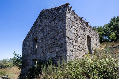 Farm i Melo e Nabais, Guarda, Melo e Nabais - € 150.000 | Ref: SF-SAFTI:008290 - foto 3