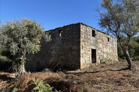 Farm i Melo e Nabais, Guarda, Melo e Nabais - € 150.000 | Ref: SF-SAFTI:008290 - foto 5